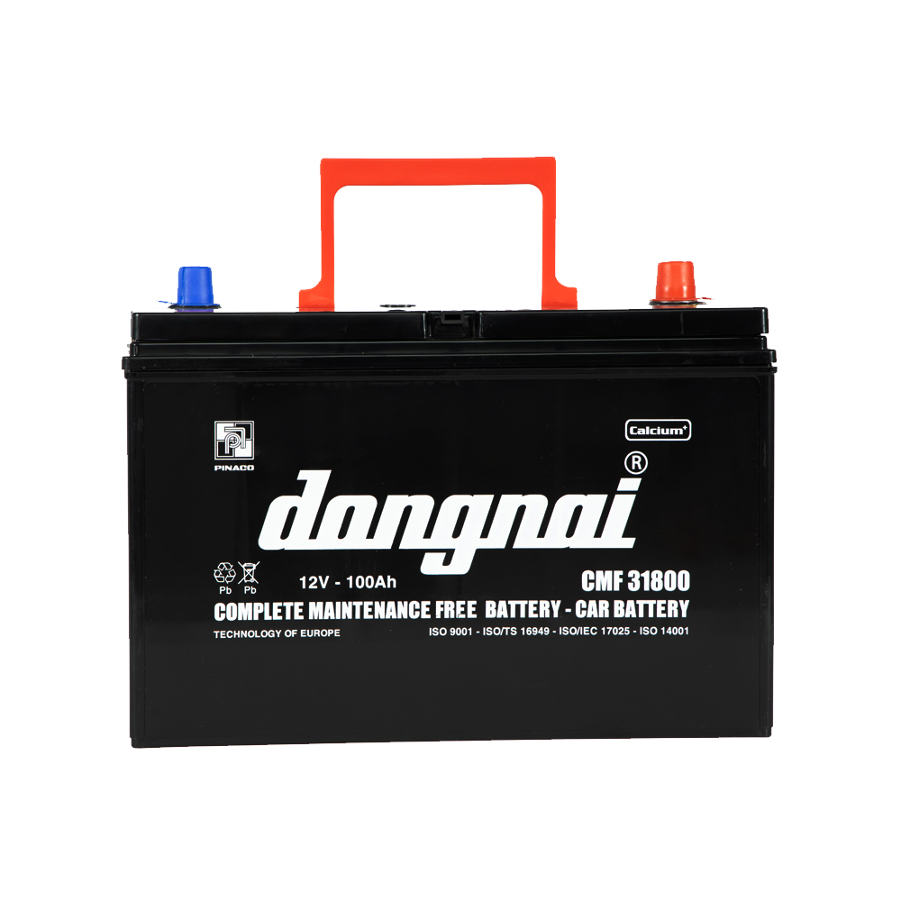 Ắc quy khô miễn bảo dưỡng Đồng Nai CMF 31800 |  12V - 100Ah