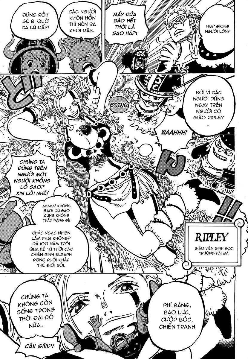 đảo hải tặc - one piece chapter 1134 9
