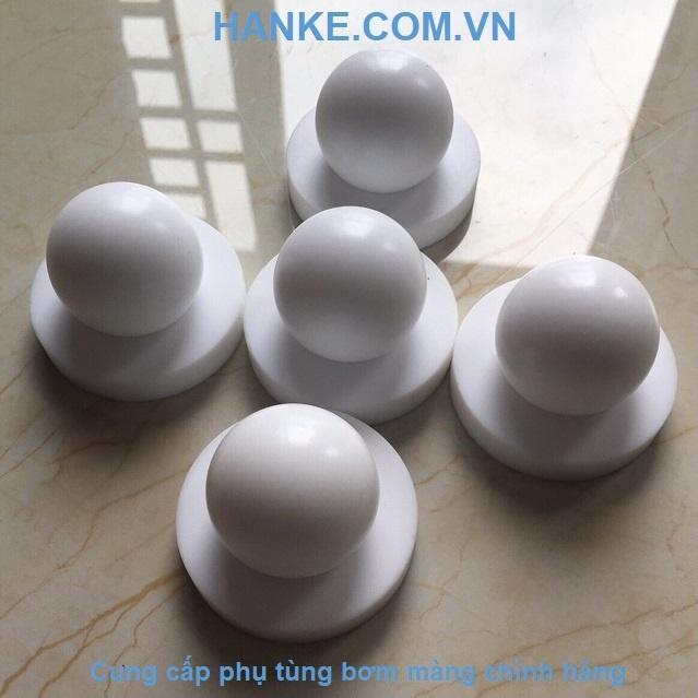 Bi PTFE QBY3-20-25SFQ