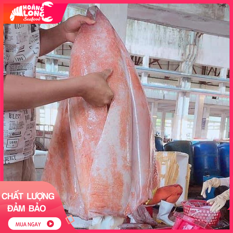 Mực lá đai dương 1kg