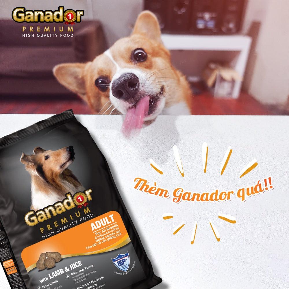 20KG Thức ăn cho chó trưởng thành Ganador vị thịt cừu &amp; gạo - Ganador Adult Lamb &amp; Rice - Thức ăn hạt cho Chó