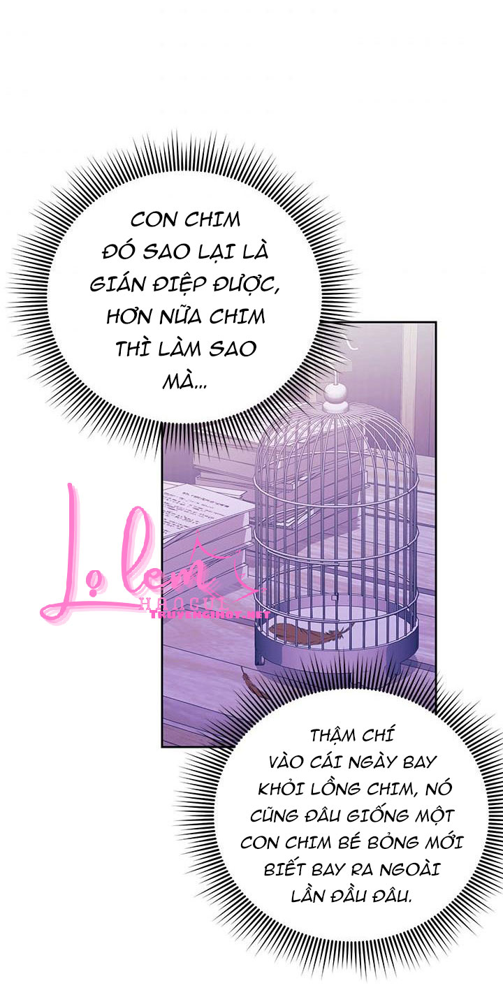 công chúa của loài chim chapter 37.1 37