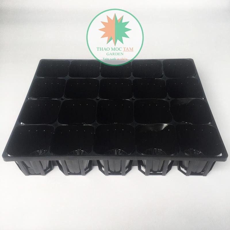 Bộ Khay 20 lỗ + 20 Chậu ươm 10.5 chuẩn Nhật - Khay ươm cây con, cây giống, trồng hoa làm vườn