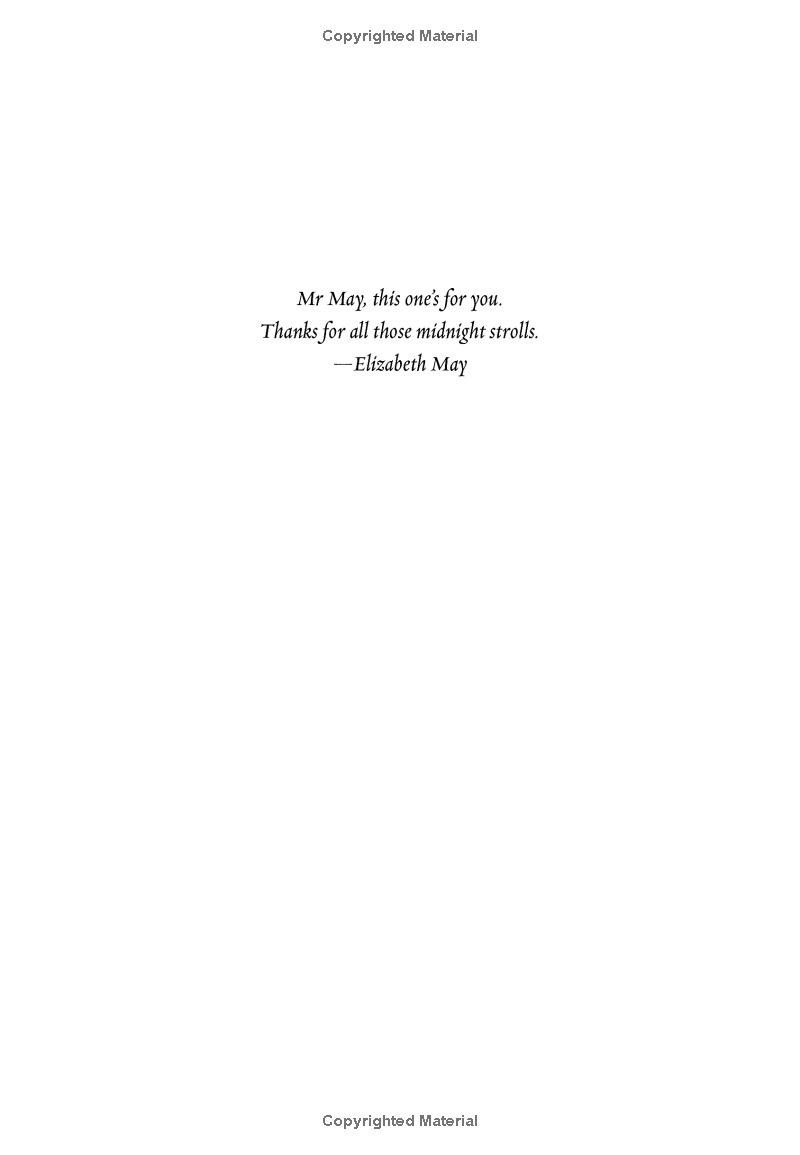 Sách ngoại văn: The Falconer