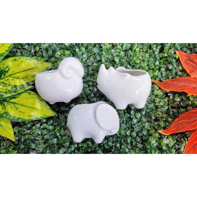 Chậu sứ trồng sen đá hình thú, men ngọc dễ thương