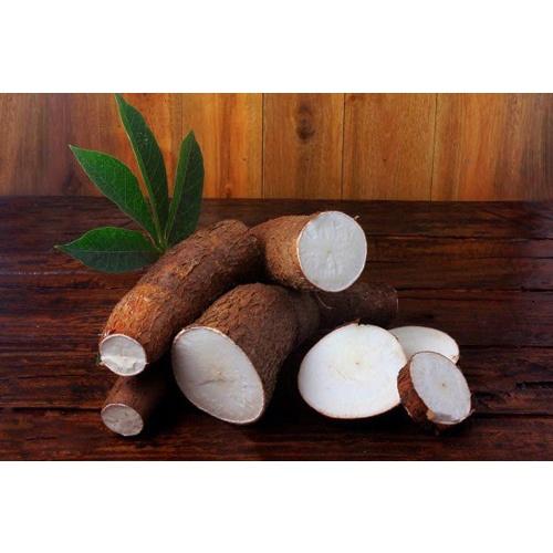 2 kg HOM Giống KHOAI MÌ RUỘT TRẮNG DẺO THÁI LAN.