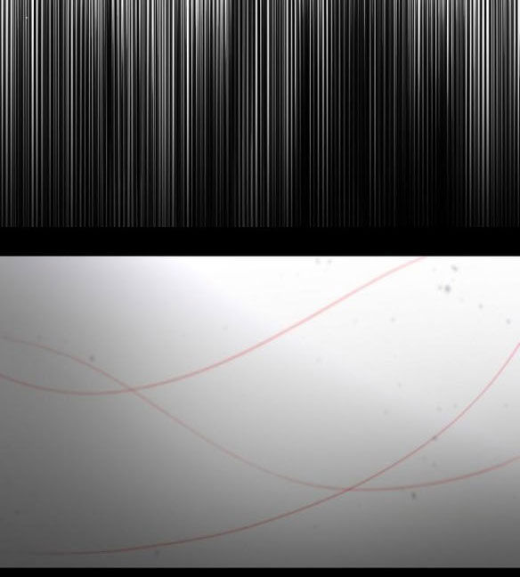 Tự Do Trong Mơ chapter 49.2 14