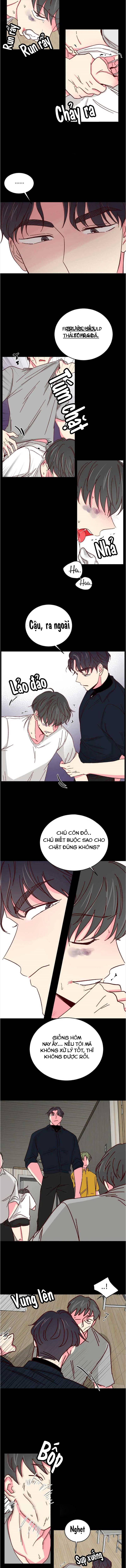 món tráng miệng của sếp tổng chapter 42 5