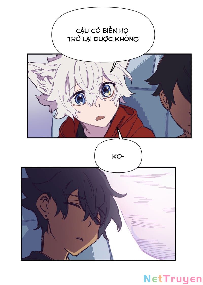 lumine - cội nguồn ánh sáng chapter 117 15