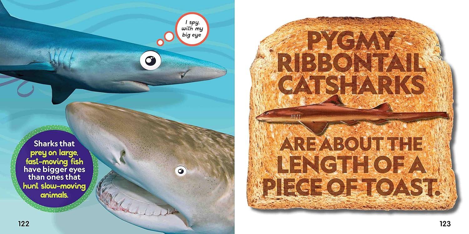 Sách ngoại văn: Weird But True! Sharks