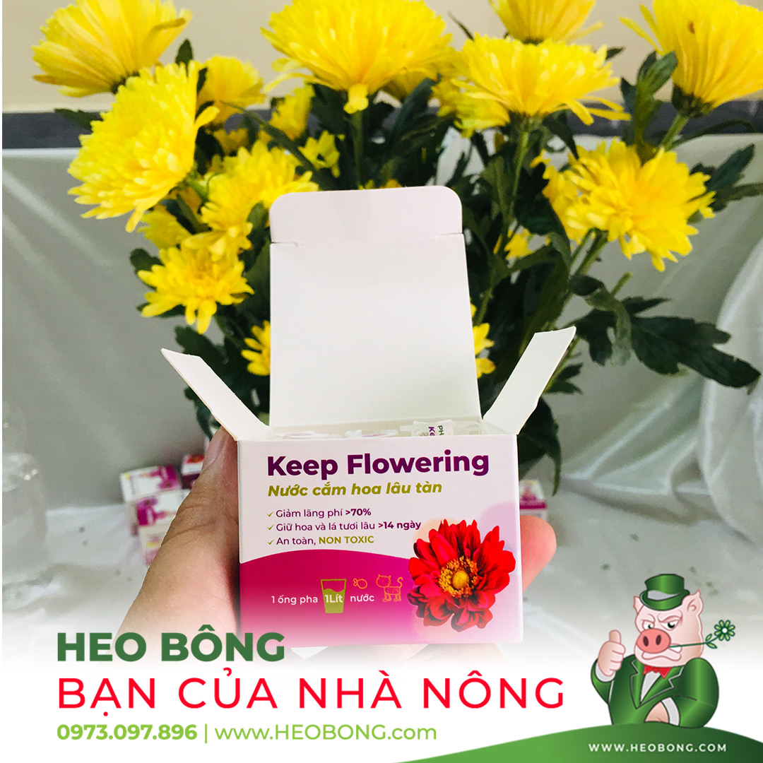 Nước Cắm Hoa Lâu Tàn Keep Flowering