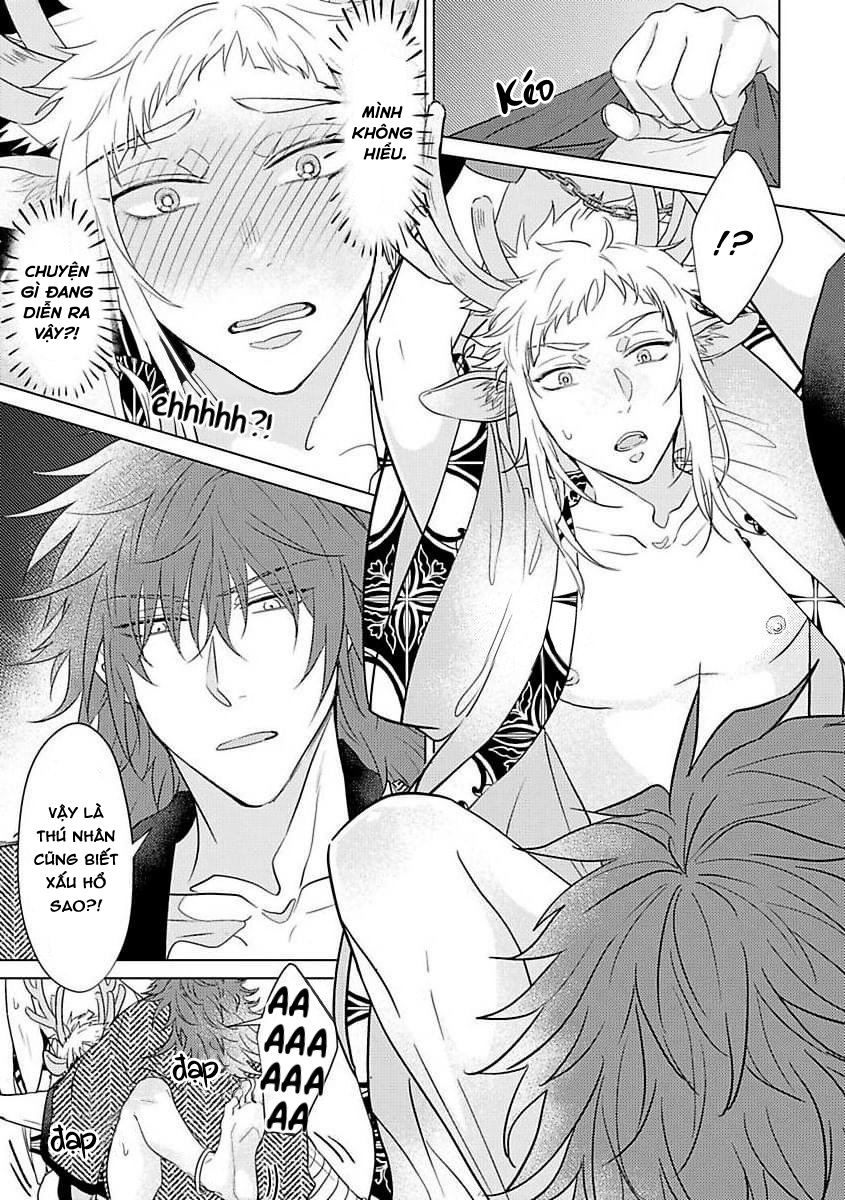 gặp gỡ em, thú nhân màu chàm trắng chapter 1 29