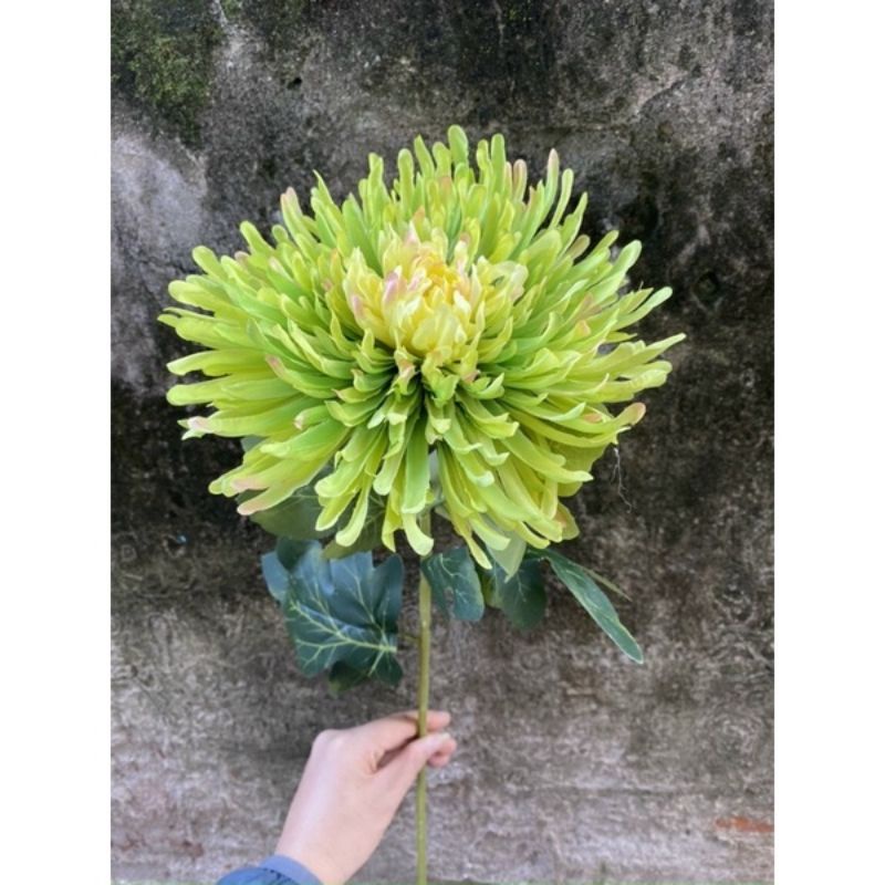 Hoa Cúc Kim Dài 75cm, Hoa Giả HL037