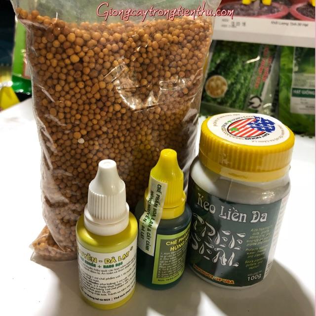 COMBO-4 LOẠI PHÂN BÓN, KEI KY,CHẾ PHẨM,THUỐC PHÒNG TRỊ NẤM,VI RÚT,VI KHUẨN CHO LAN VÀ CÂY CẢNH
