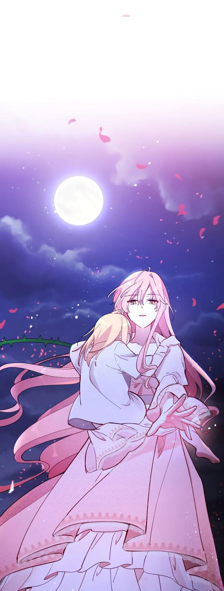 quý cô không thể chạm vào chapter 11 23