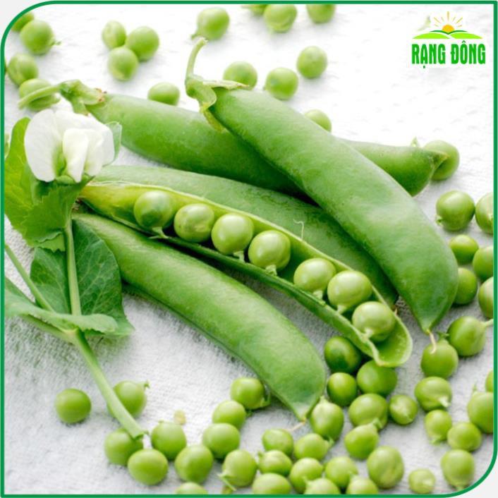 Hạt giống Đậu Hà Lan Rado 681 (Lấy Hạt) (50g~25 hạt) năng suất cao, trồng quanh năm - Hạt giống Rạng Đông