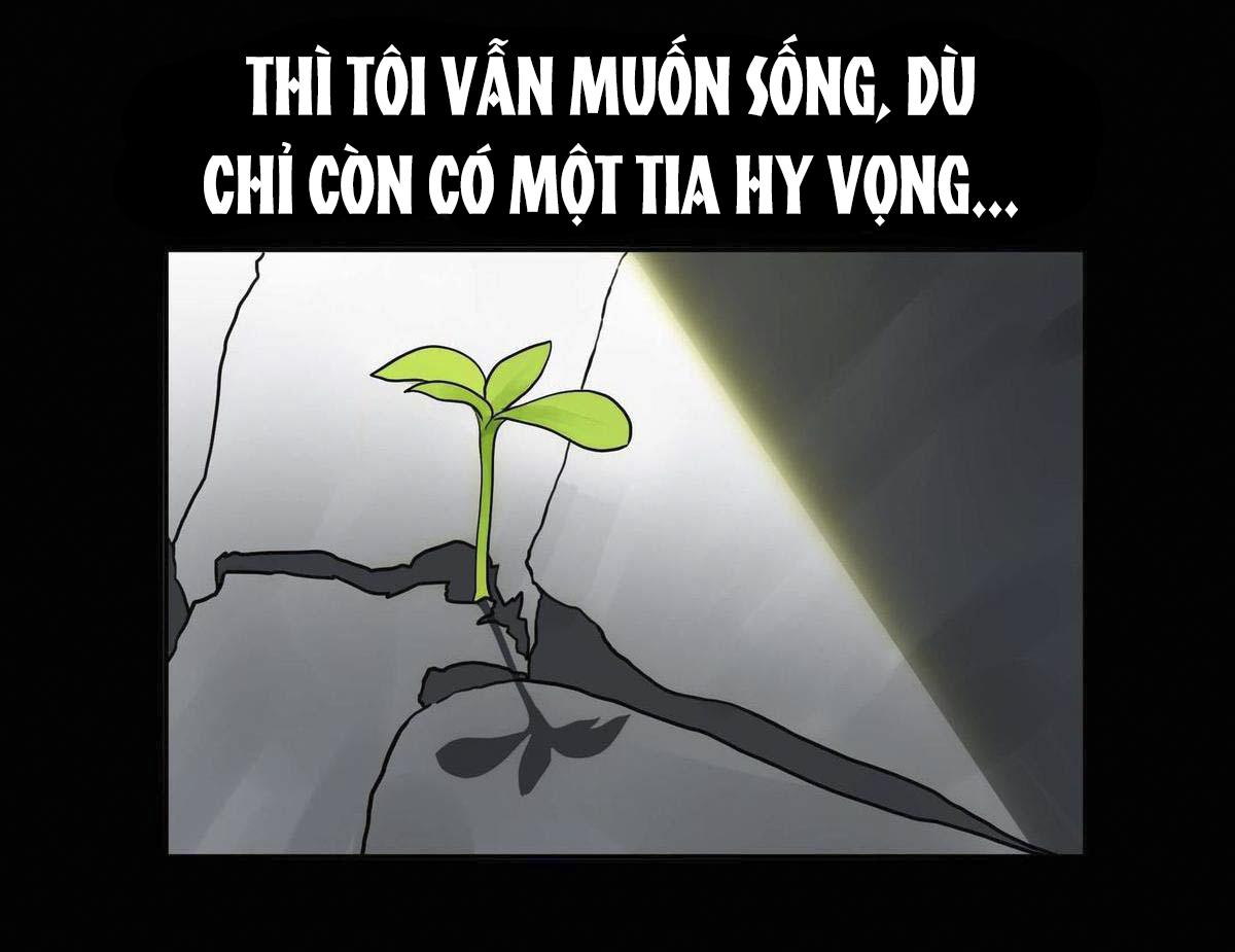 đôi giày pha lê chapter 0 12