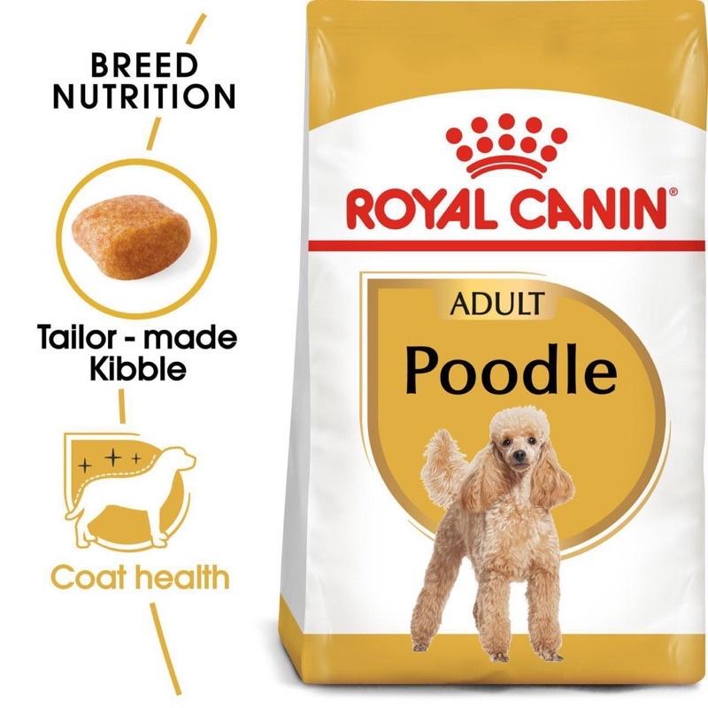 Thức ăn- Hạt khô Royal canin dành riêng cho chó poodle trưởng thành, giúp hỗ trợ sức khỏe của hệ thống miễn dịch