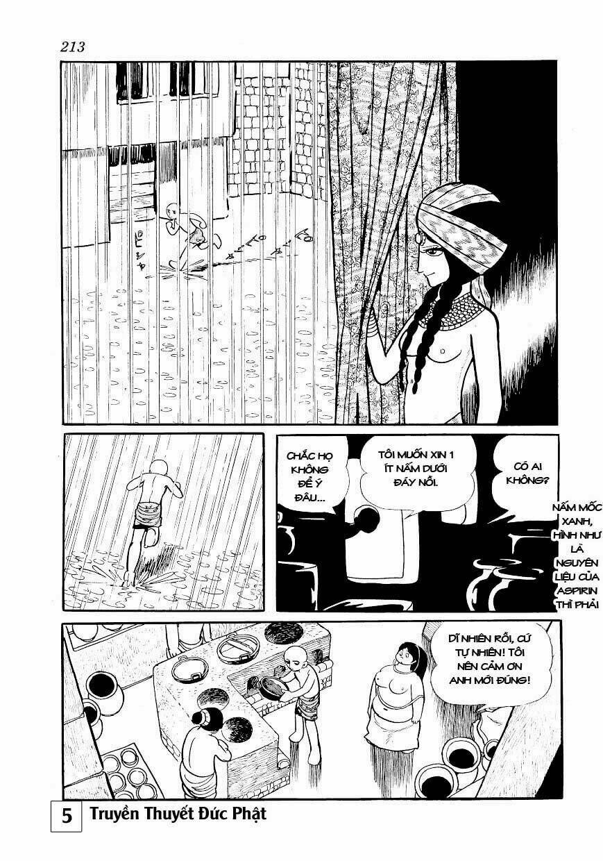 buddha - truyền thuyết đức phật chapter 26 17