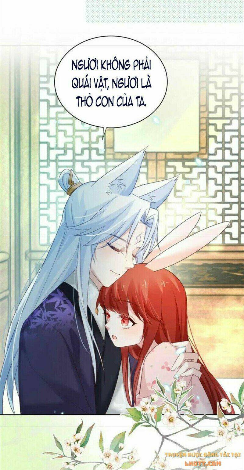 hắc hóa nam chính trực tuyến nuôi thỏ chapter 60 24