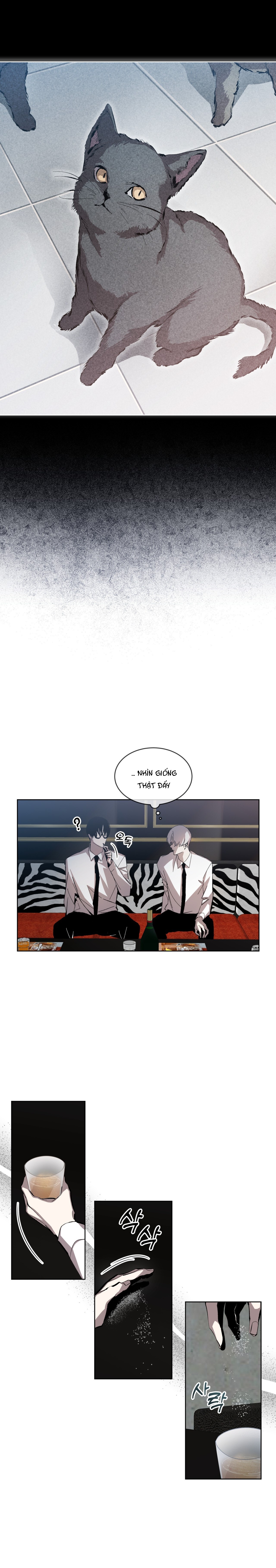 cú nổ chapter 6 12