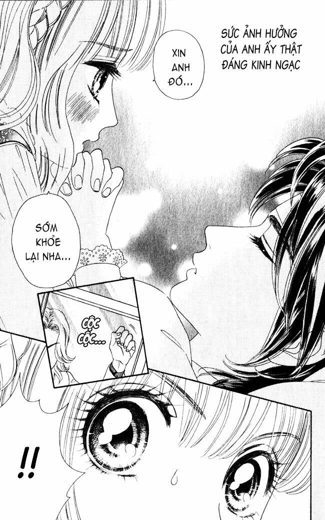 hoa hồng đỏ chapter 15 15