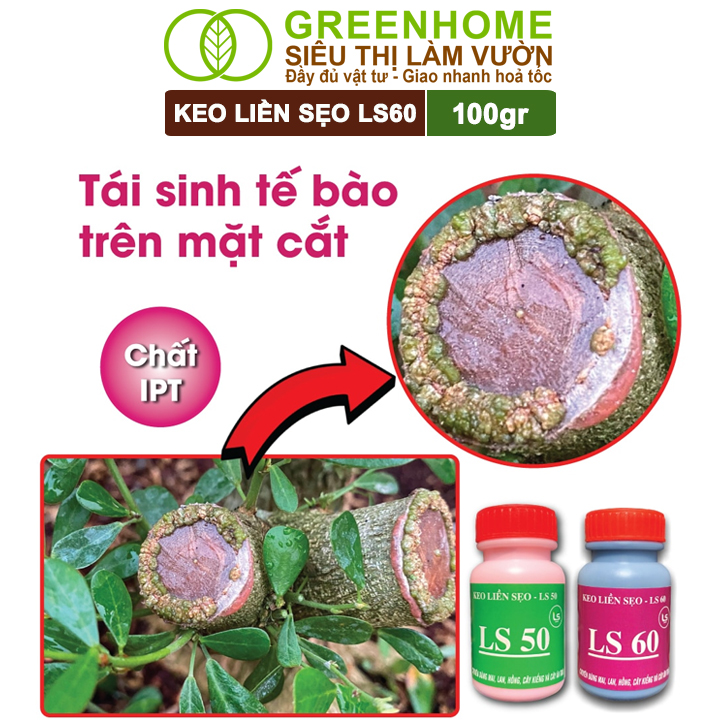 Keo Liền Sẹo Cho Cây LS60 Greenhome, Liền Nhanh Vết Cắt Da Cây, Chiết Cành, Bonsai, Lan, Kiểng Lá