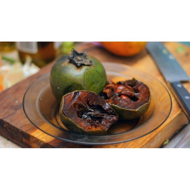 Cây giống hồng sô-cô-la hàng chuẩn f1