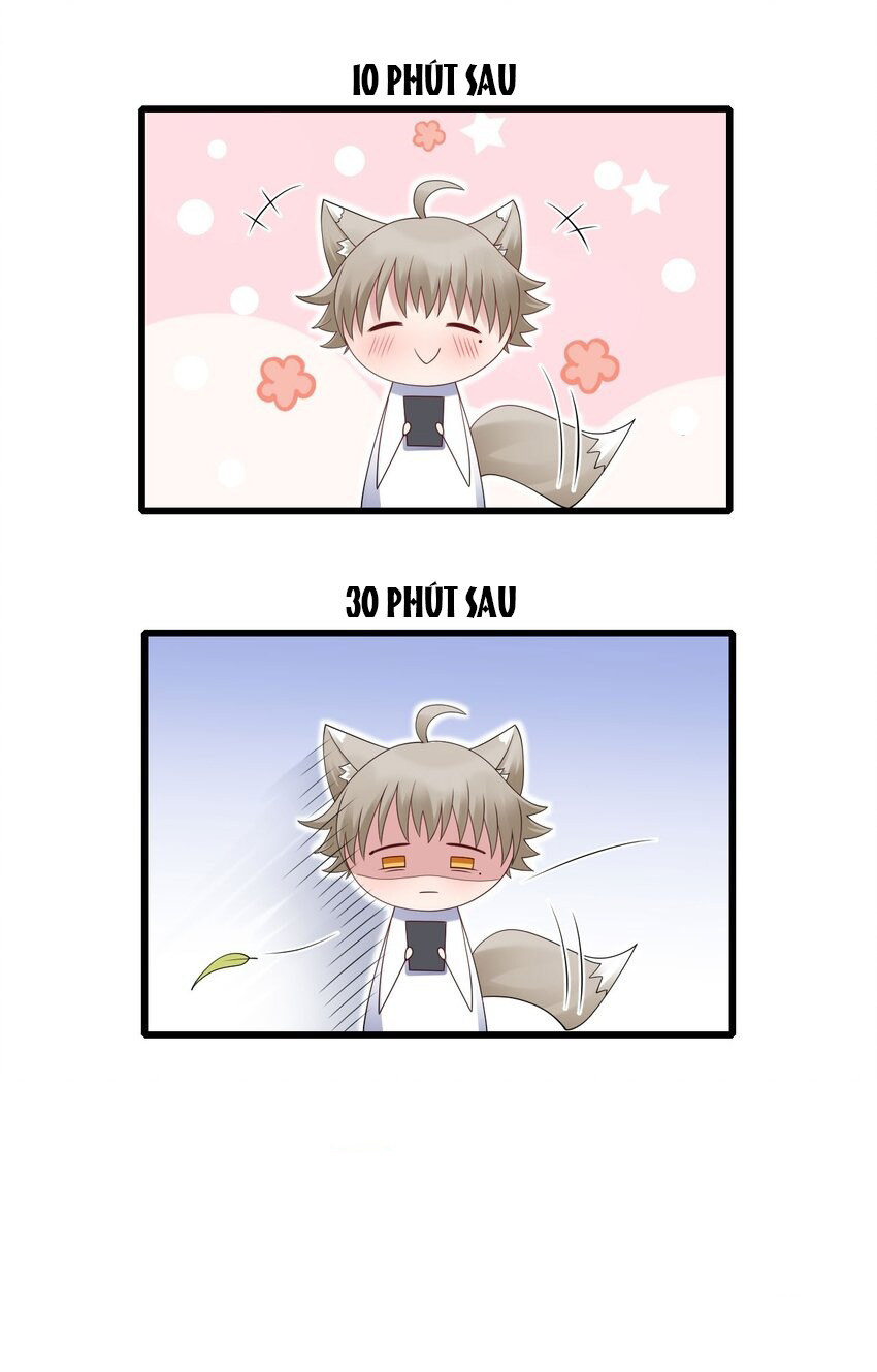 tức thời phạm quy [ tức thì vi quy ] chapter 56 27