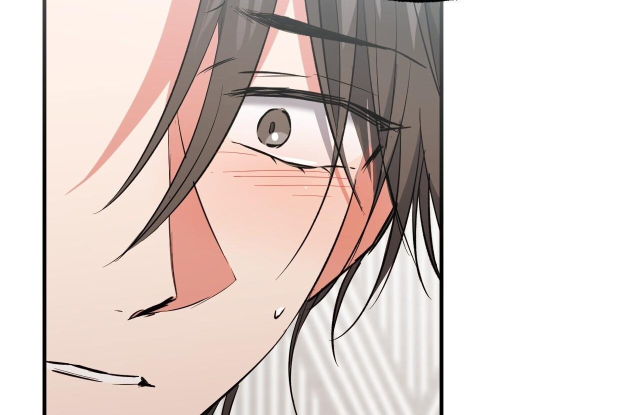 những chú thỏ của hapypy chapter 61 112