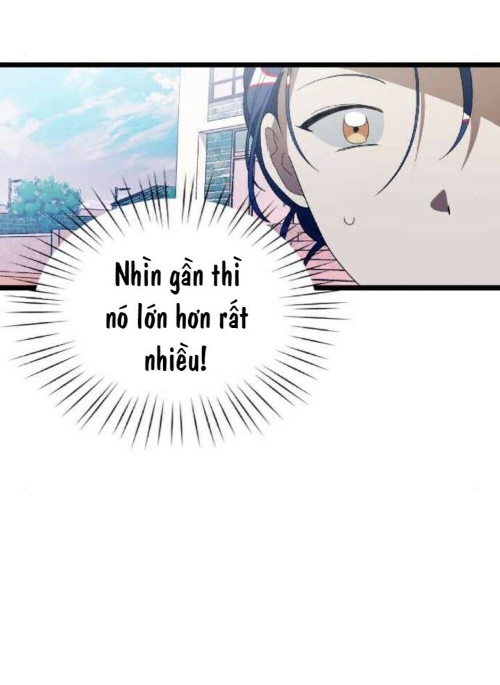 survive romance chapter 34 46