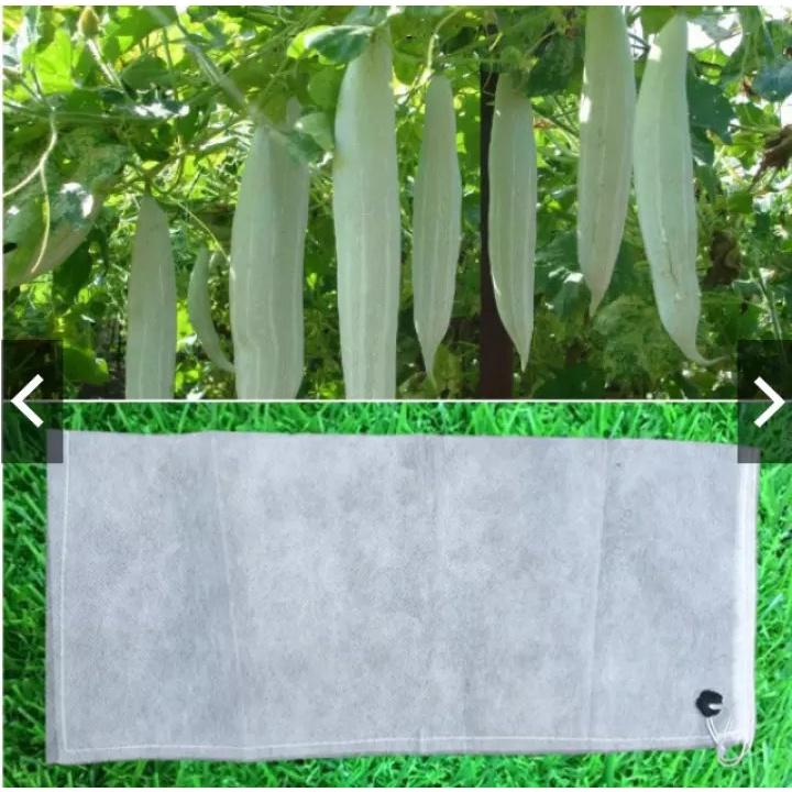 100 túi bọc Bầu, Bí, Mướp, KT 15x50, chất liệu bằng lưới mùng , có dây rút