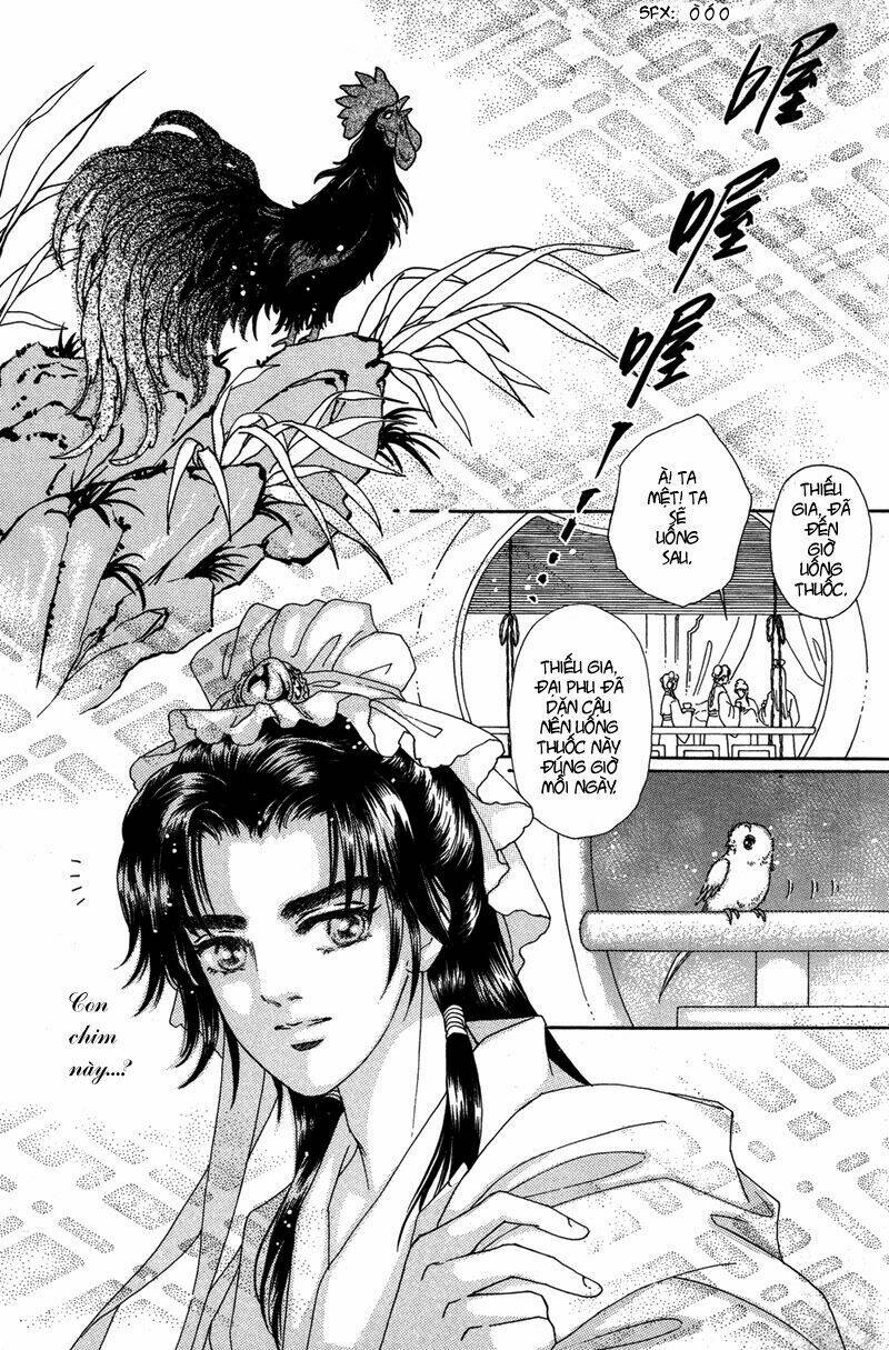 bird of youth chapter 1 3