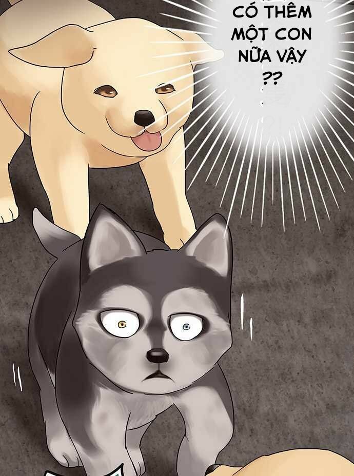 nụ hôn nguyền rủa chapter 28 23