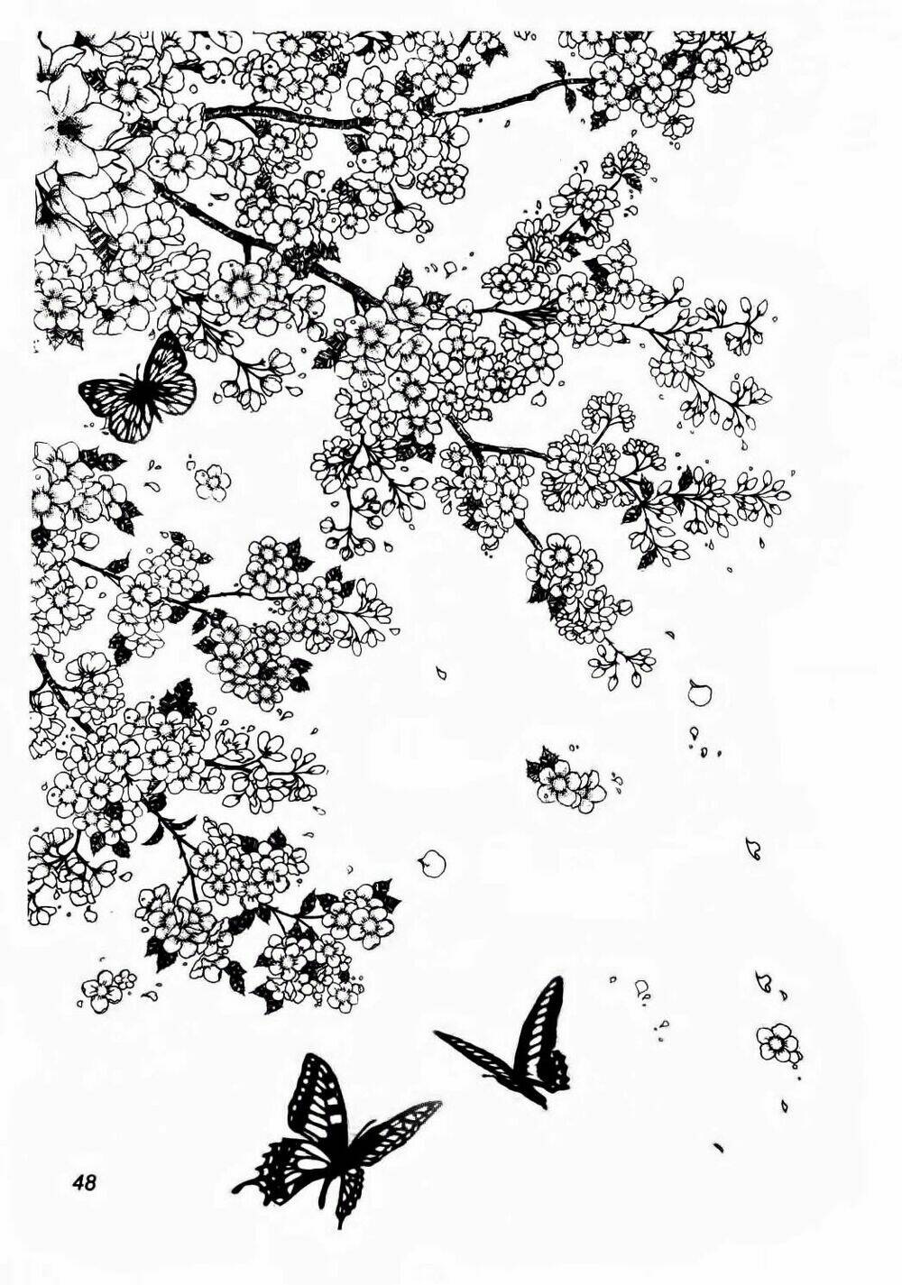 nabi - cánh bướm chapter 8 19