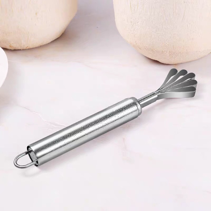 Dụng cụ đánh vảy cá và nạo dừa inox - DCVN