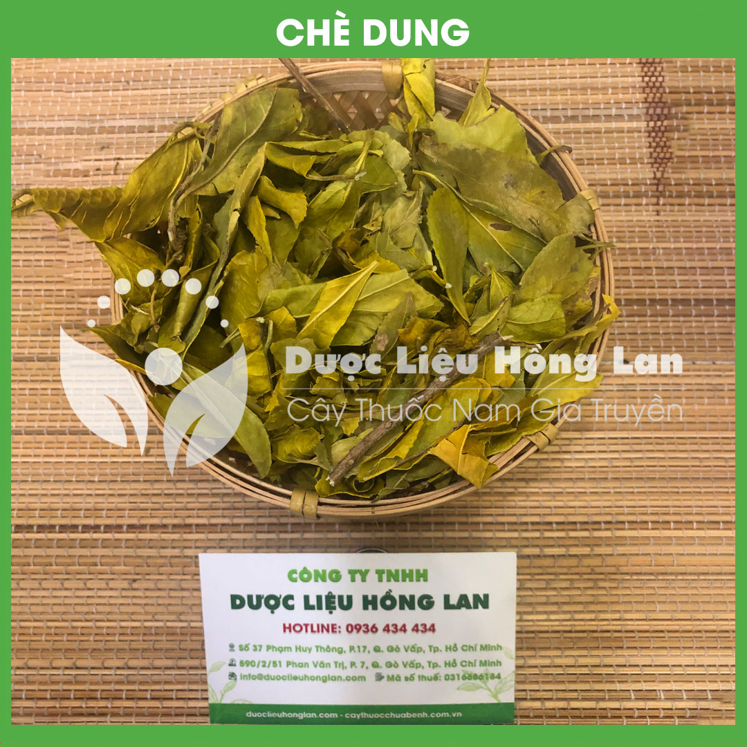 Lá Chè Dung khô đóng gói 1kg