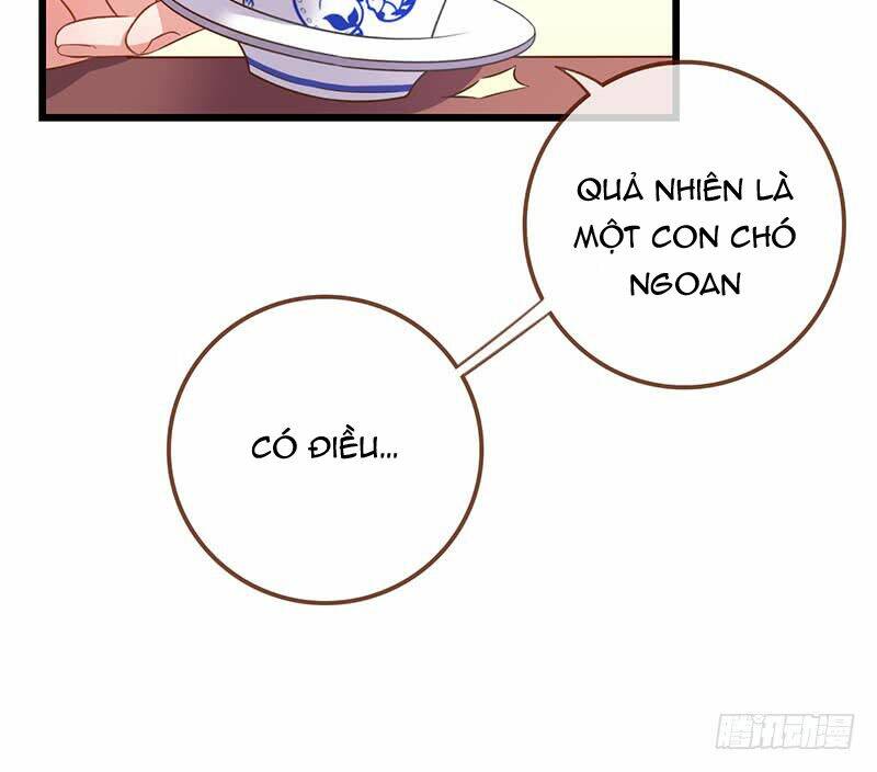 hệ thống nghịch tập chapter 6 12