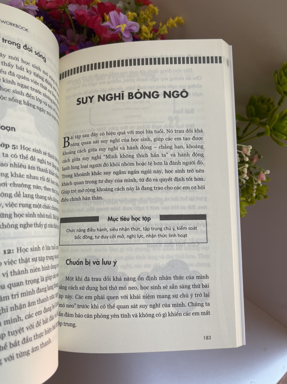 GIÁO DỤC TỈNH THỨC và WORKBOOK - Daniel Rechtschaffen – Kiều Anh Tú dịch – Thái Hà
