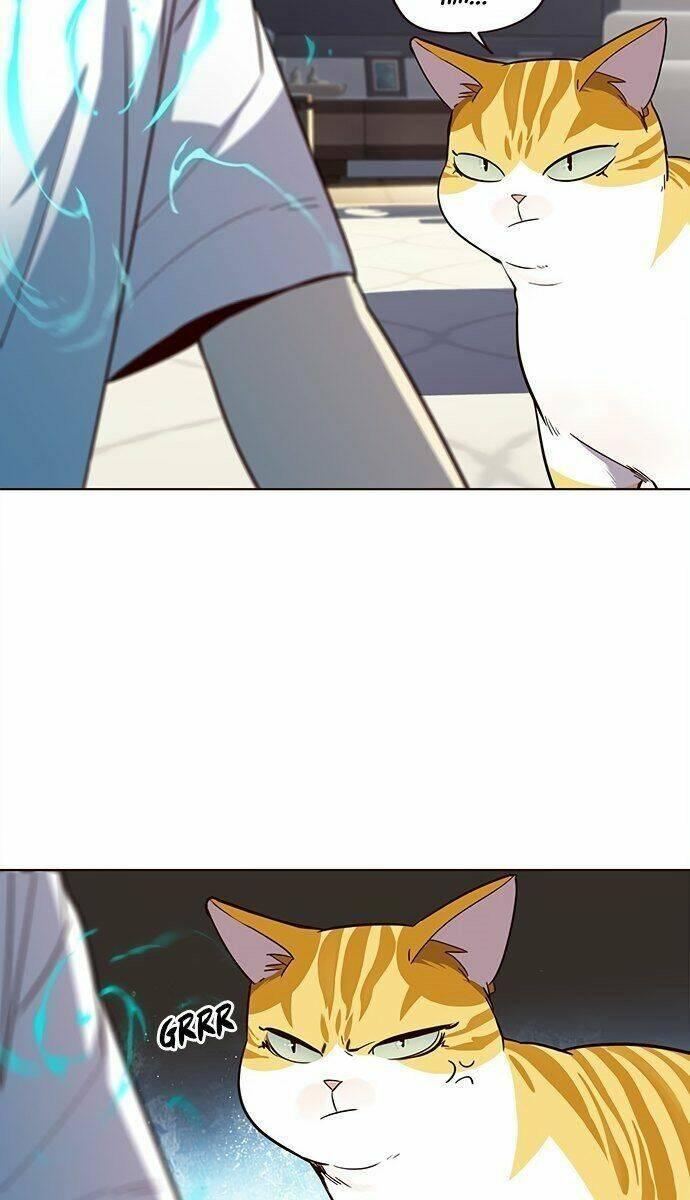 biến thân thành mèo chapter 21 71