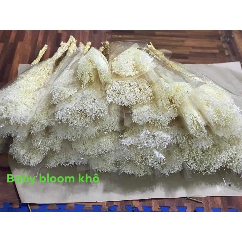 Hoa khô, bó 100 gr hoa baby bloom trang trí vintage, chụp ảnh nghệ thuật tuyệt đẹp