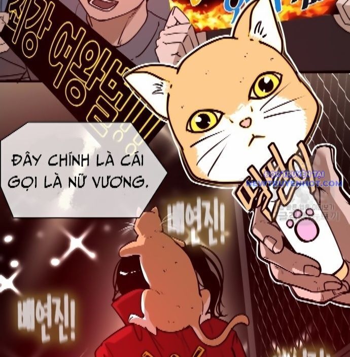 shark - cá mập chapter 301 56