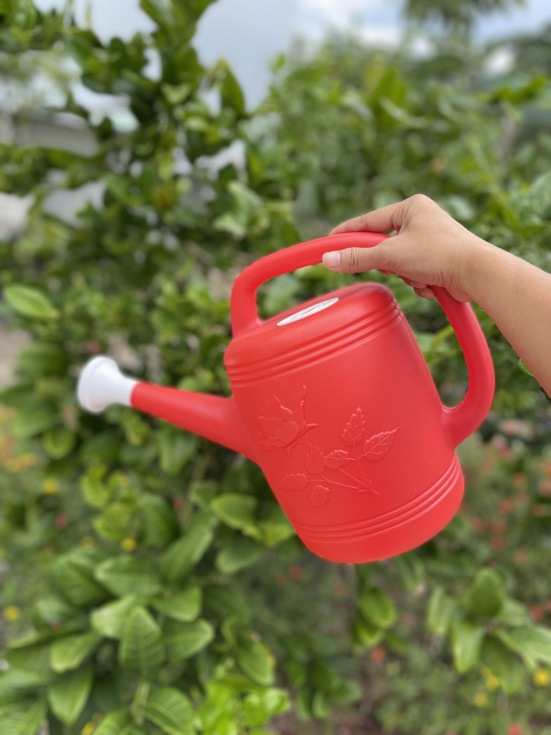 Bình tưới mẫu vòi sen 3Lít