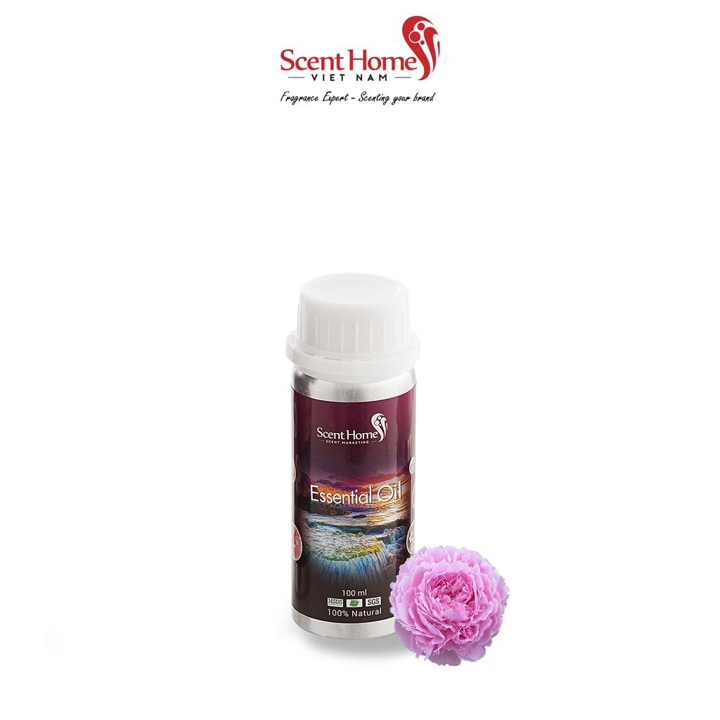Tinh dầu Scent Homes - mùi hương