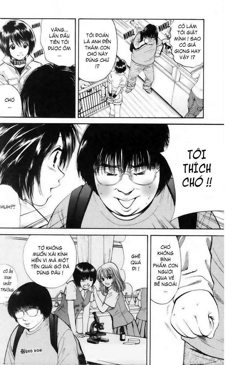 cô nàng yêu chó chapter 10 12