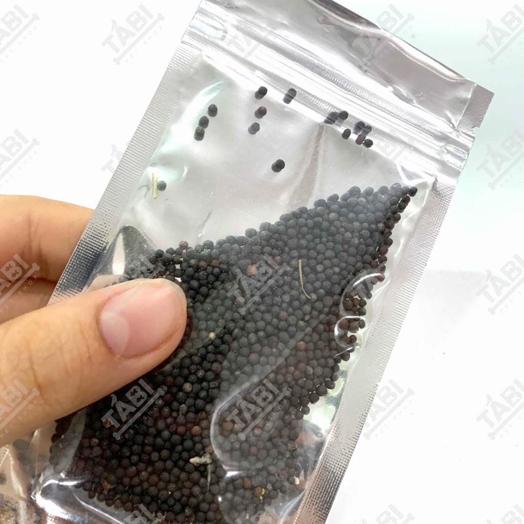 Hạt Giống Thuỷ Sinh - Cây Trồng Thuỷ Sinh