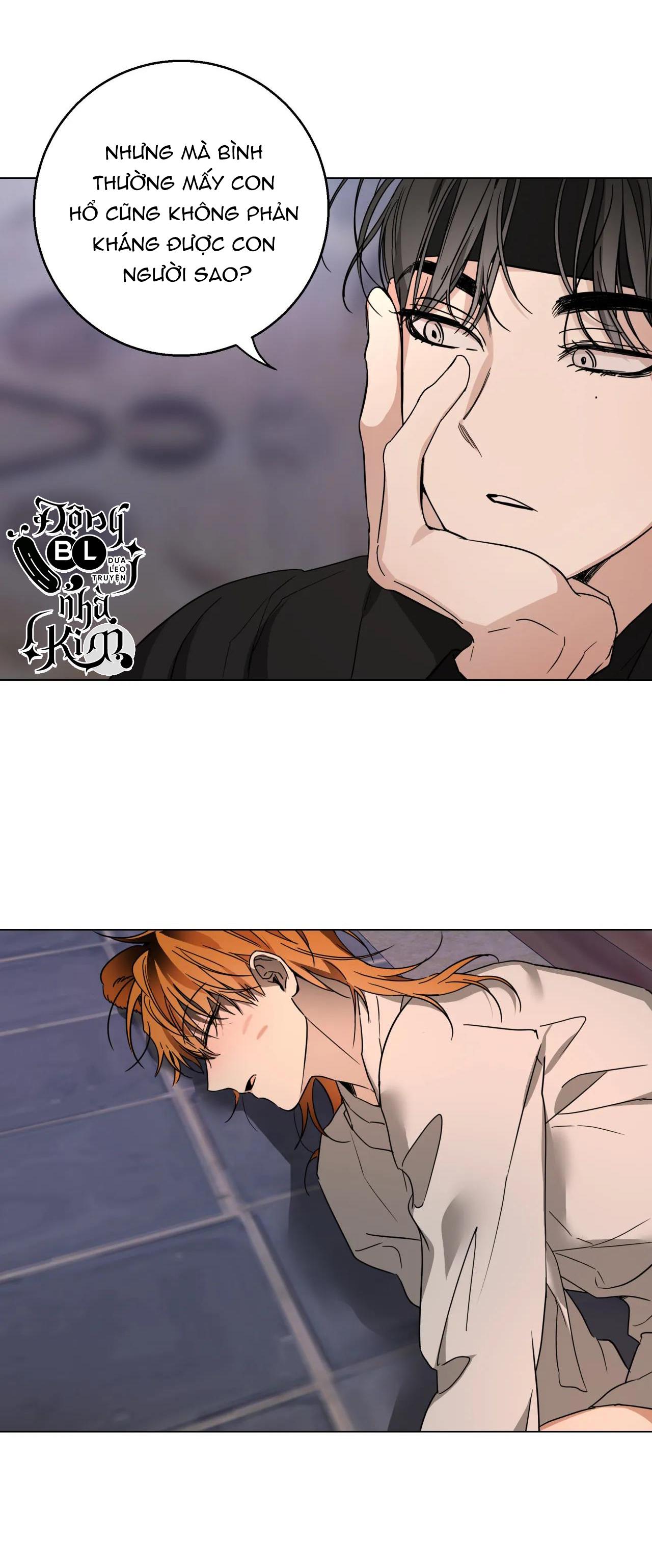 bl cổ trang - âu cổ ngắn nhà kim chapter 11.2 37