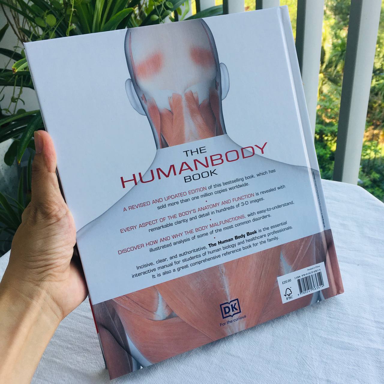 DK books | The Human Body Book