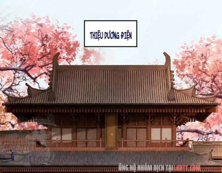 trọng sinh bá sủng nhiếp chính vương quá mạnh mẽ chapter 98 43