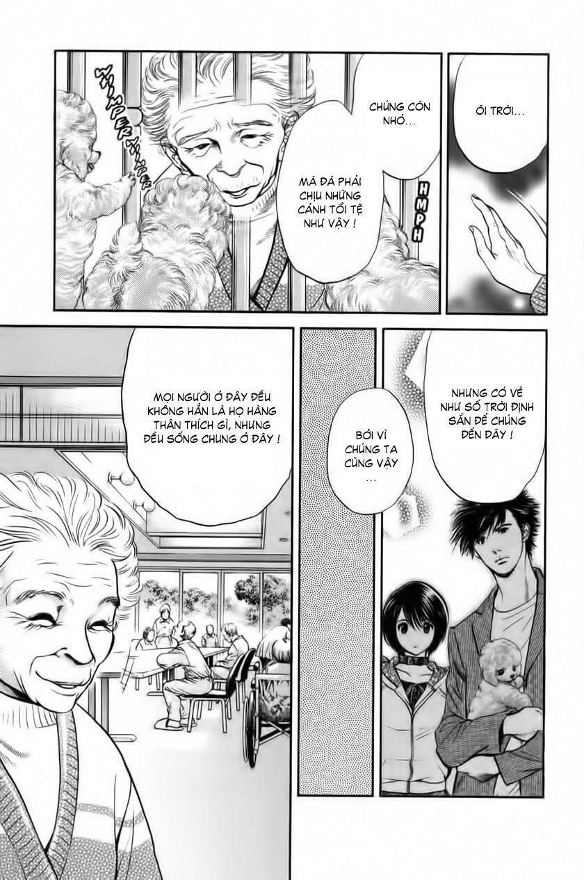cô nàng yêu chó chapter 30 12